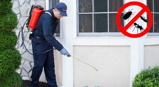Uludere Kemirgen İlaçlama böcek ilaçlama ve haşere kontrolü — ilaclama-tr.com